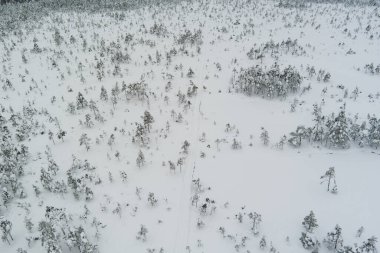 Fotoğraf dokusu, Estonya doğası, karlı alan, insansız hava aracının fotoğrafı. Yüksek kalite fotoğraf