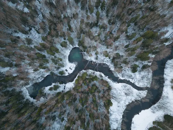 Natuur Van Estland Winter Lokale Bezienswaardigheid Siniallikad Het Bos Drone — Stockfoto