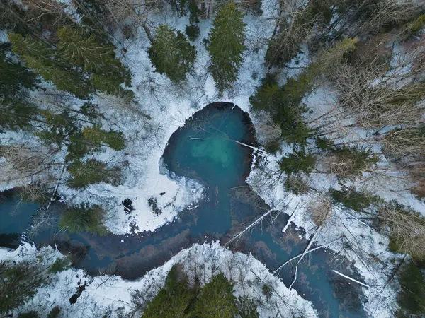 Natuur Van Estland Winter Lokale Bezienswaardigheid Bron Siniallikad Het Bos — Stockfoto