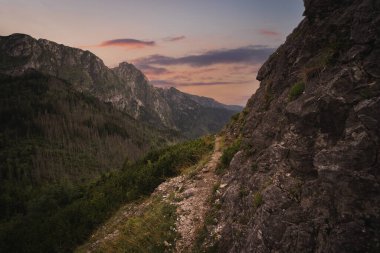 Yazın günbatımında Polonya Tatra Dağları 'nda yürüyüş parkurunda. Yüksek kalite fotoğraf