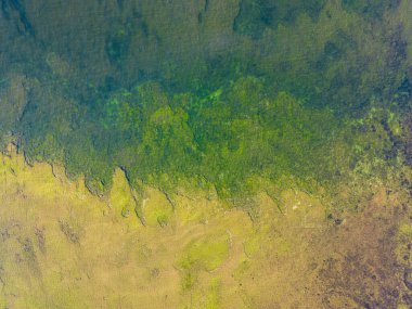 Fotoğraf deseni, Baltık Denizi, temiz su, kayalık taban, drone görüntüsü. Yüksek kalite fotoğraf