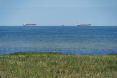 Tallinn Körfezi, denizde iki tanker, ön planda sazlıklar, bir yaz günü fotoğraf. Yüksek kalite fotoğraf