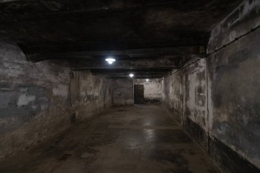 Gas chamber in the Auschwitz concentration camp. High quality photo