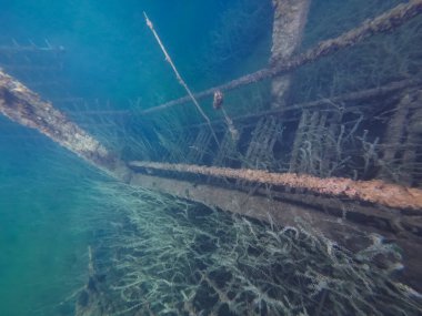 Underwater photo, flooded rusty stairs leading to the bottom, rummu quarry. High quality photo