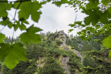 Rock in the Polish Tatra Mountains against a cloudy sky, view through the foliage of trees. High quality photo