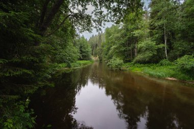 Forest river Valge on a cloudy summer day. High quality photo