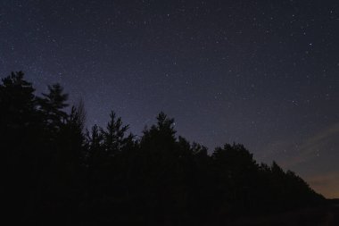 Estonya 'daki ormanda bir gece sahnesi. Yıldızlı gökyüzünün arka planına karşı ağaç siluetleri. Yüksek kalite fotoğraf