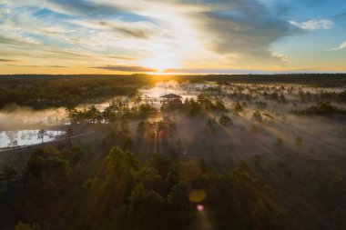 Viru swamp at sunrise on a foggy morning, shot from a drone. High quality photo