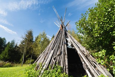 Bulgalo in the forest in summer. Nature of Estonia. High quality photo