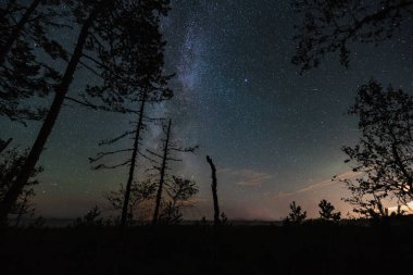 Night scene, milky way over forest, Seli swamp in Estonia.