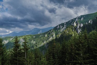 Mountain forested landscape in Zakopane Tatras, photo in summer, the sky is covered with clouds. High quality photo