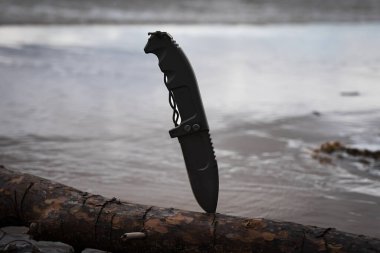 A large outdoor survival expedition knife is stuck into a fallen tree. High quality photo