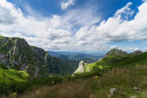 Mountain landscape in the Tatras in summer, Zakopane. High quality photo