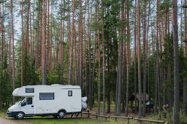 Nature camping on Lake Peipus in autumn. Car, mobile home in a pine forest. High quality photo