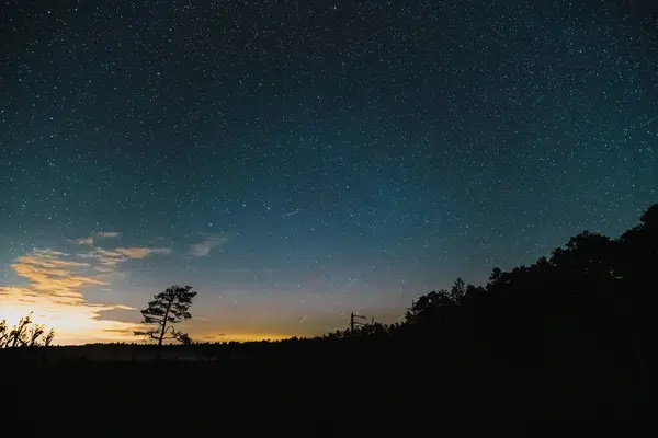Night sky with stars in the forest at the Seli swamp. High quality photo