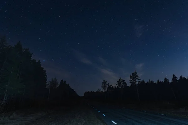 Night road through the forest with a starry sky. High quality photo