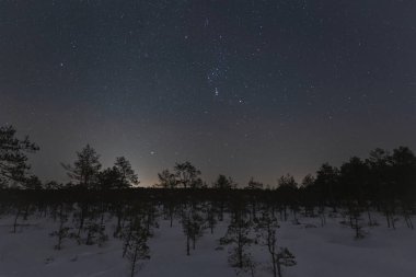 Estonya 'da kışın gece sahnesi. Kar, ağaçlar ve yıldızlı gökyüzü Virü diyarında. 