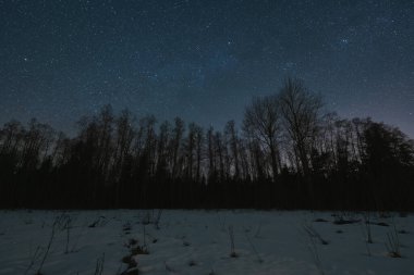 Manzara astrofotografı, kış ormanı yıldızlı gökyüzünün arka planında. 