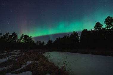 Gece sahnesi. Estonya 'nın kış ormanlarında kuzey ışıklarıyla manzara astrofotografı. 