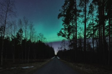 Orman asfalt yolu baharda geceleri ormanın içinden yıldızlı bir gökyüzü ve kuzey ışıklarıyla geçer. Yüksek kalite fotoğraf