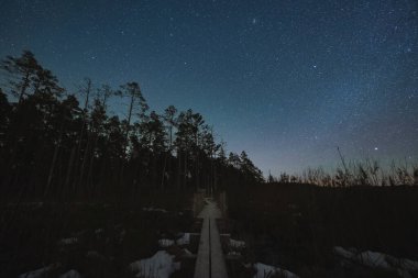 Estonya 'nın kışın çekilmiş astrofotografı. Orman ahşap yolu ve yıldızlı gökyüzü. 