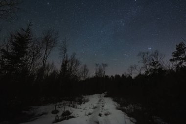 Estonya 'nın kışın çekilmiş astrofotografı. Orman yolu ve yıldızlı gökyüzü. Yüksek kalite fotoğraf