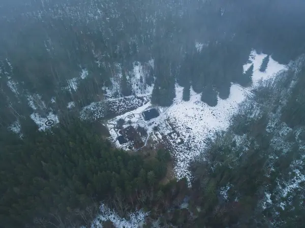 에스토니아어 숲에서 외로운 드론에서 — 스톡 사진