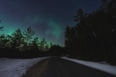 Gece ormanı boyunca yol, kuzey ışıklarıyla yıldızlı gökyüzü. Kışın Estonya doğası. 
