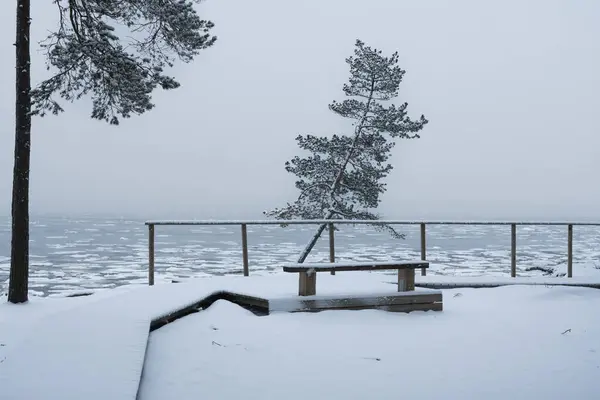 Nature Estonia Snowy Winter Bench Seashore Kaberneeme — Stock Photo, Image