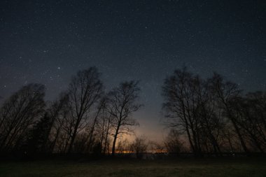 Bahar ormanında yıldızlı bir gökyüzü olan gece manzarası. Estonya doğası. 