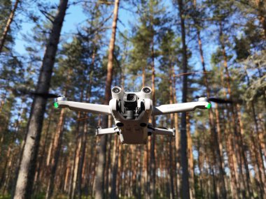 Estonya, Kisa 30 Mayıs 2024. Dji Mini 3pro küçük drone sabah ormanda 250 g ağırlığında uçuyor.. 