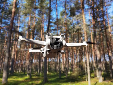 Estonya, Kisa 30 Mayıs 2024. Dji Mini 3 profesyonel kompakt İHA sabah ormanda 250 g ağırlığında uçuyor.. 