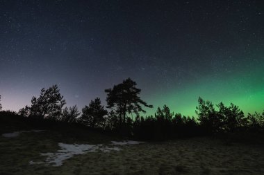 Baharın başında Estonya 'da manzara astrofotografı. Kuzey ışıkları ve yıldızlı gökyüzü ormanın üzerinde. 