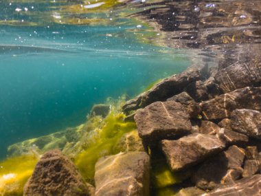 Rummu taş ocağında sualtı fotoğrafı, temiz su ve kayalık taban.. 