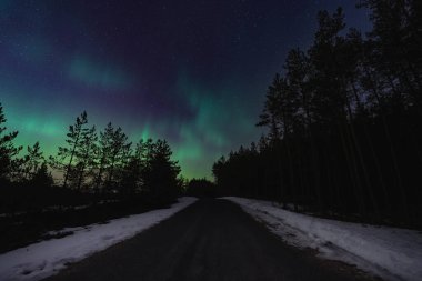 Gece manzarası, Estonya 'nın kuzey ışıkları, kışın ormanda yol.. 