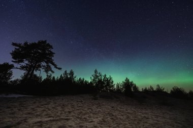 Baharda Estonya 'da manzara astrofotografı. Kuzey ışıkları ve yıldızlı gökyüzü ormanın üzerinde kum tepeciklerinde. 