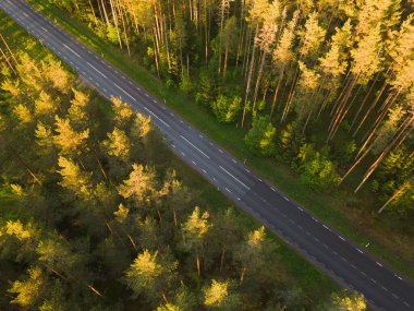 Çam ormanlarından geçmek için yağmurdan sonra asfalt yol, gün batımında insansız hava aracının fotoğrafı.. 