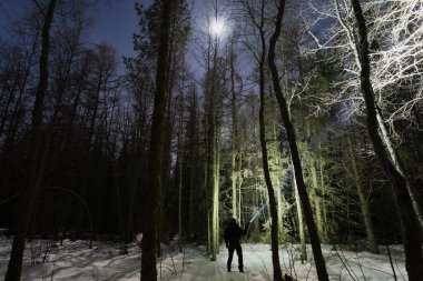 Gece sahnesi, elinde el feneri olan bir adamın silueti. Kışın ormanda, gökyüzünde parlak bir ay.. 