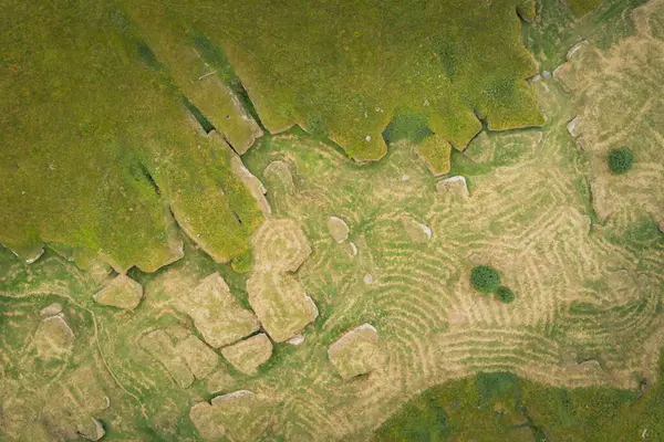 stock image Estonian nature. Karst zone in a Kostivere in dry summer, aerial photo. 