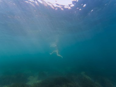 Sualtı fotoğrafı, bir kadın tek başına denizde derinlerde yüzer, gündüzleri okyanusta.. 