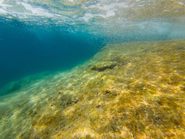 Su altı fotoğrafı, Akdeniz 'de temiz su Fransa açıklarında Saint Jean Cap Ferrat yarımadasında..