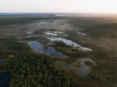 Estonya doğası, gün doğumunda Seli bataklığı, göllerden gelen sis, insansız hava aracının fotoğraf görüntüsü..