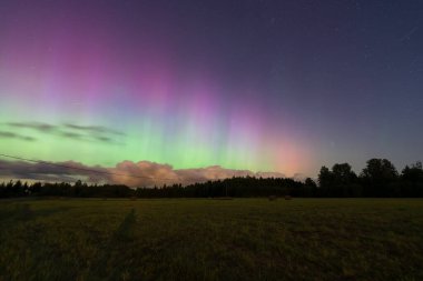 Estonya 'daki bir tarlada, yıldızlı gökyüzünde güçlü kuzey ışıkları.