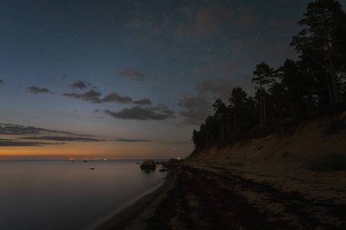 Pedassaar adasındaki gece manzarası, yıldızlı gökyüzü, orman ve kıyı şeridi.