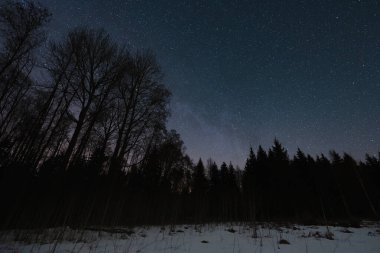Estonya doğası, kışın gece ormanı ve Kollassaare çiftliği yakınlarında yıldızlı gökyüzü..