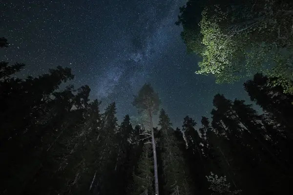 Stock image Night landscape, astrophotography. Silhouettes of trees, starry sky and milky way. Dark forest. Taevaskoja. 