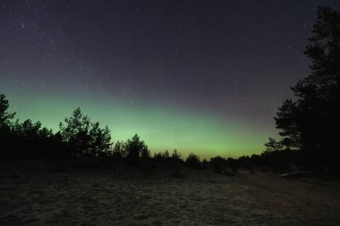 Manzara astrofotografçılığı, kuzey ışıkları ve yıldızlı gökyüzü, sonbaharın sonlarında orman temizliği. Yüksek kalite fotoğraf