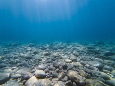 Nice kıyısındaki Akdeniz 'de kayalık bir kıç. Su altı fotoğrafı.. 