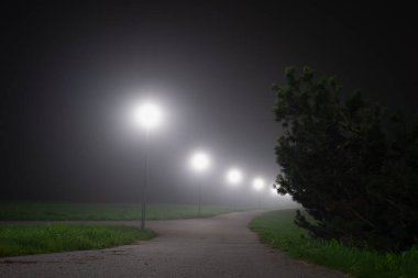 Gece sahnesi, parkın içinde asfalt yol yoğun sis sırasında fenerlerle, düşük ışık fotoğrafı.. 