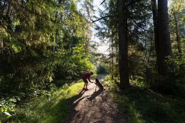 Erkek bir köpek sahibi iri yarı bir köpeği mi eğitiyor? # Bir yaz günü ormanda #.